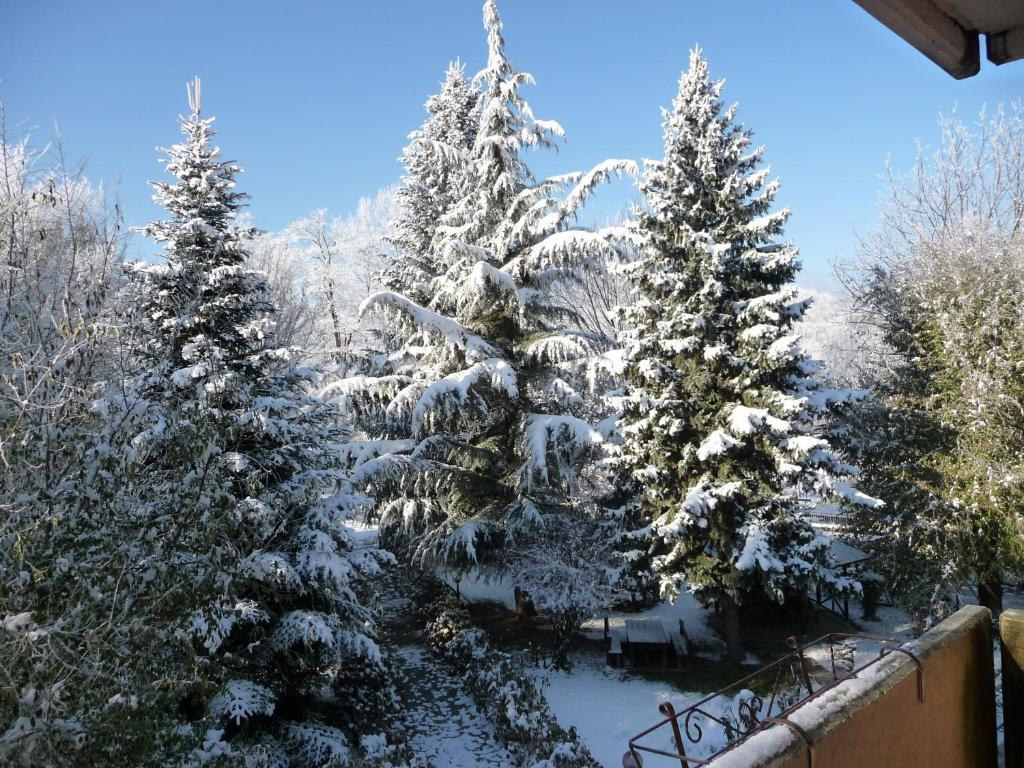 Garden House - Hotel Sport Levico Terme Exterior foto